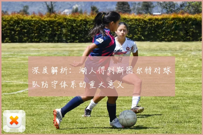 深度解析：湖人得到斯图尔特对球队防守体系的重大意义