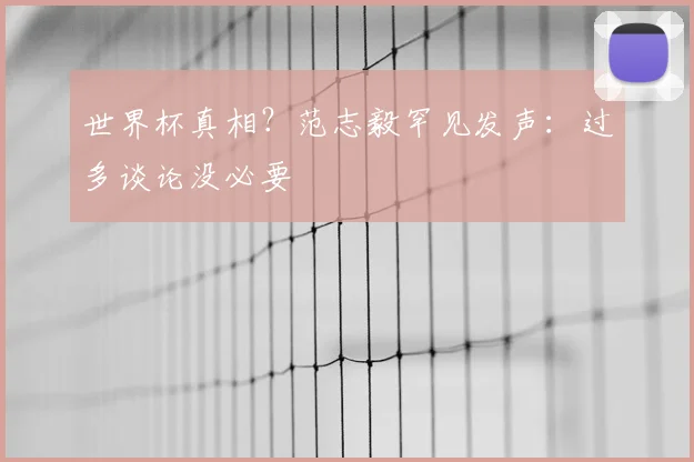 世界杯真相?范志毅罕见发声:过多谈论没必要